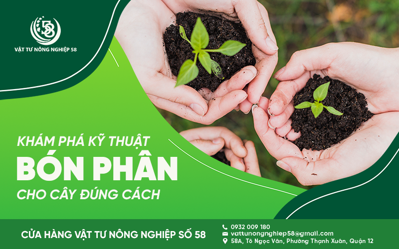 KHÁM PHÁ KỸ THUẬT BÓN PHÂN CHO CÂY ĐÚNG CÁCH